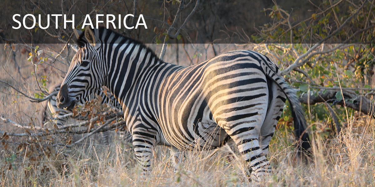 southafrica